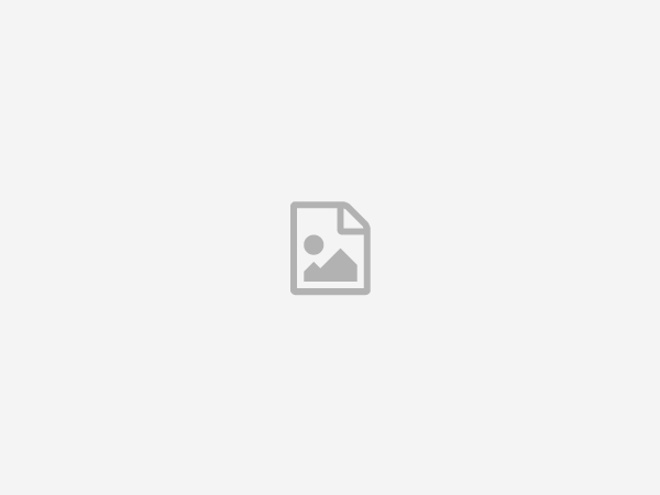 Portfolio Item Title